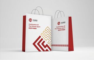 金融企業(yè)中延集團(tuán)品牌Logo設(shè)計(jì)與形象策劃方案